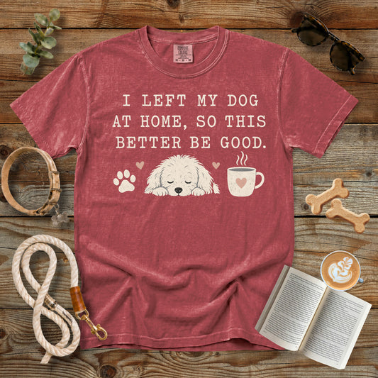 I Left My Dog at Home So This Better Be Good T-Shirt | Comfort Colors 1717 Funny Dog Mom Shirt